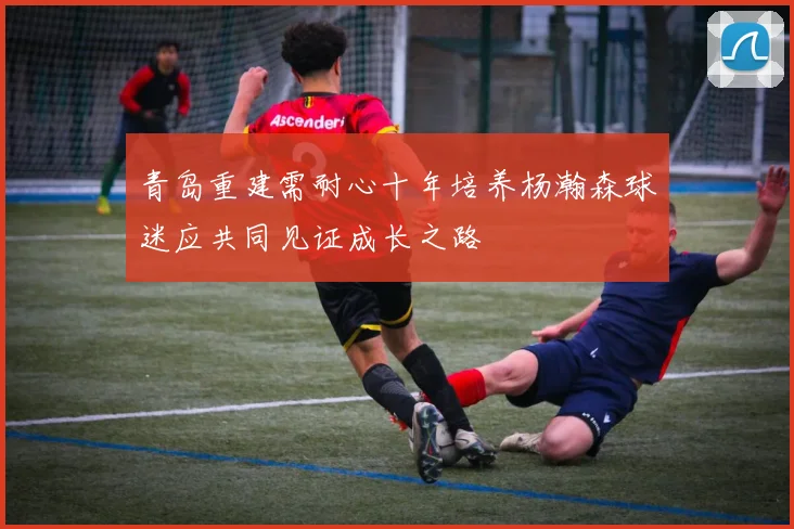 青岛重建需耐心十年培养杨瀚森球迷应共同见证成长之路
